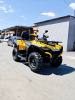 Квадроцикл HISUN Guardian 400L желтый 